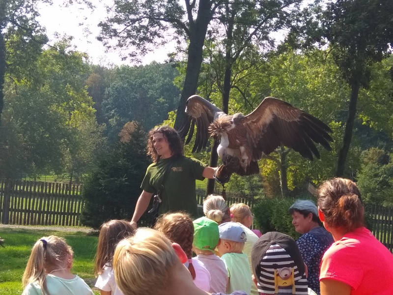 IMG_20180919_123252 (800x600)